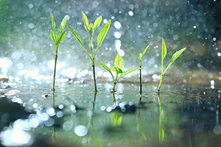 一場雨的多種抵達
