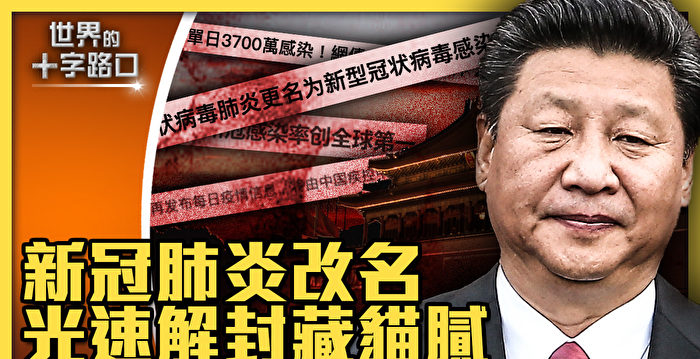 【十字路口】清零失败 疫情反扑 谁是祸首?