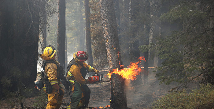 超过半数加州农村地区成为火灾高危区