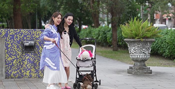 《萌宠》迈入第2季 吴姗儒允诺录完才生小孩