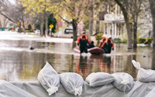 灣區衛生官員提醒洪水後的健康安全風險