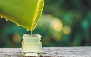 不止消炎助消化 每天喝蘆薈汁的9個理由