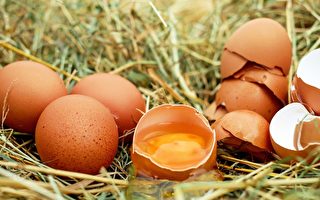 禽流感导致鸡蛋供应紧张 湾区餐厅遭受打击