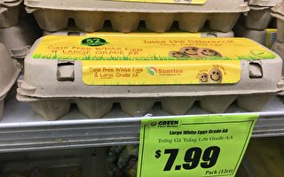 全美蛋價飛漲 何時能吃到便宜雞蛋？
