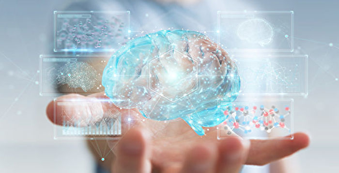 保护大脑和神经系统 专家:千万别吃三类食物