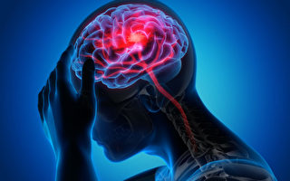 研究：植物性饮食可治疗脑创伤引起的头痛