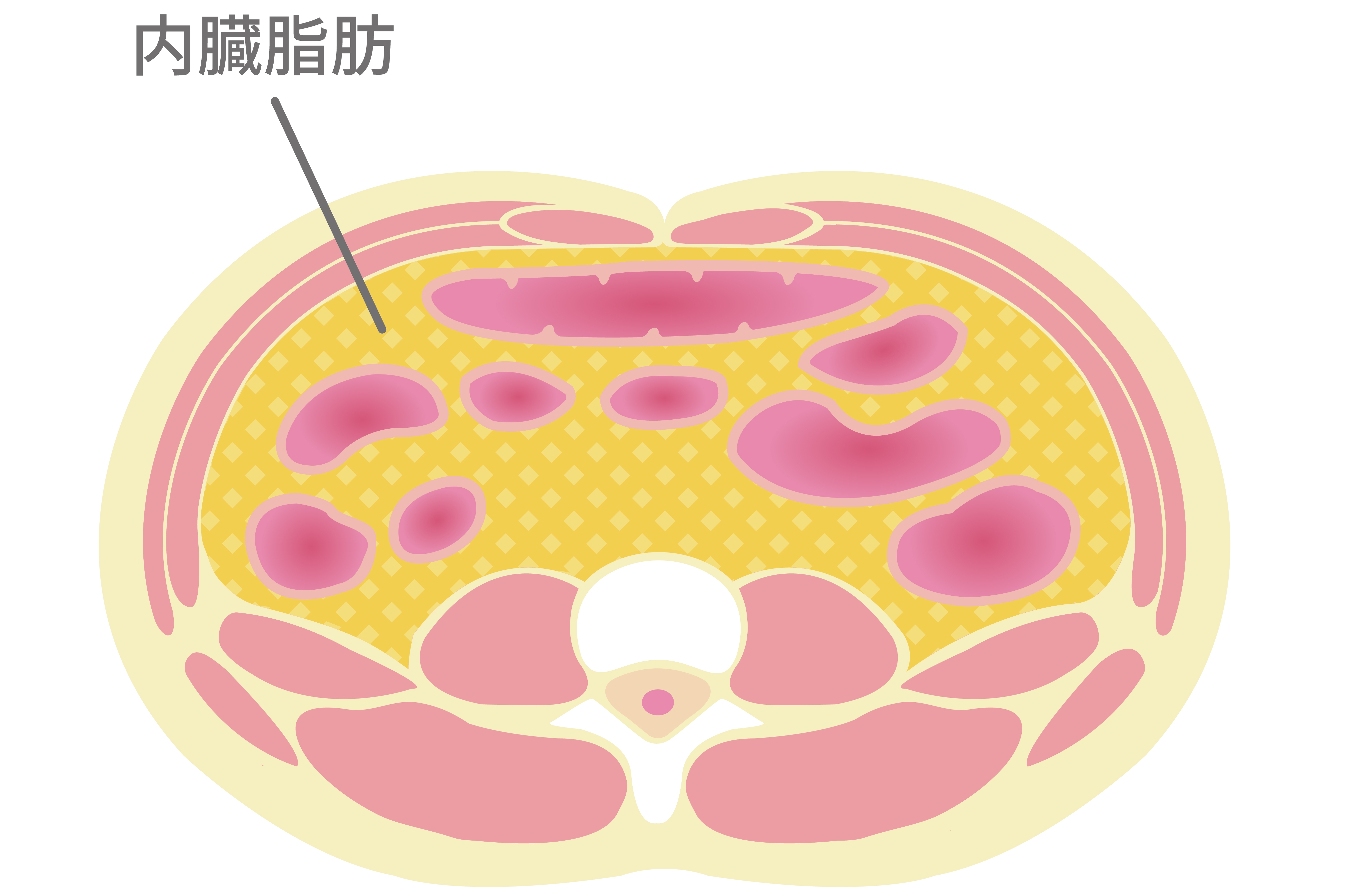 an-inch-of-waist-circumference-increases-one-point-of-death-partial