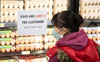 受「完美風暴」打擊 加州蛋價被迫抬高