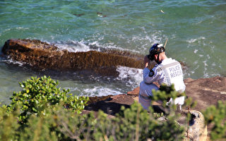 留學生在悉尼曼利海岸墜海失蹤