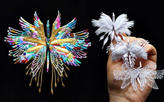 艺术家创作精美千纸鹤 给人带来光明和希望