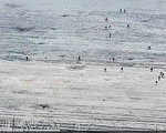 【軍事熱點】俄軍人肉衝鋒 百人只剩幾個活口