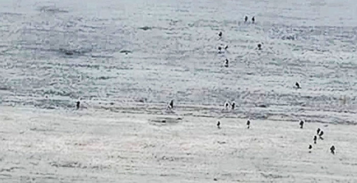 【军事热点】俄军人肉冲锋 百人只剩几个活口