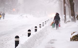 多伦多周三暴风雪 预计打破当天单日降雪纪录