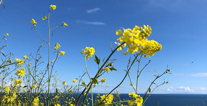 马里布地区发生4.2级地震