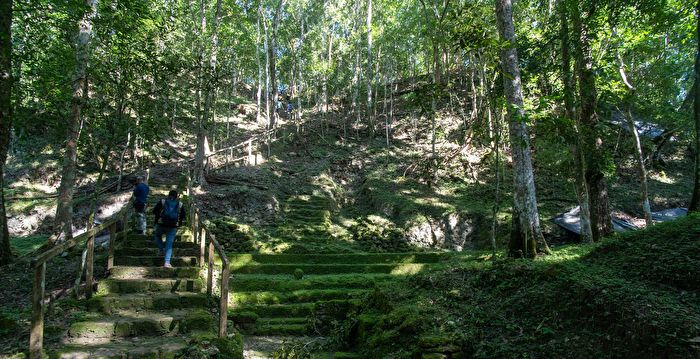 巨型玛雅遗址现危地马拉丛林 拥“超级公路”