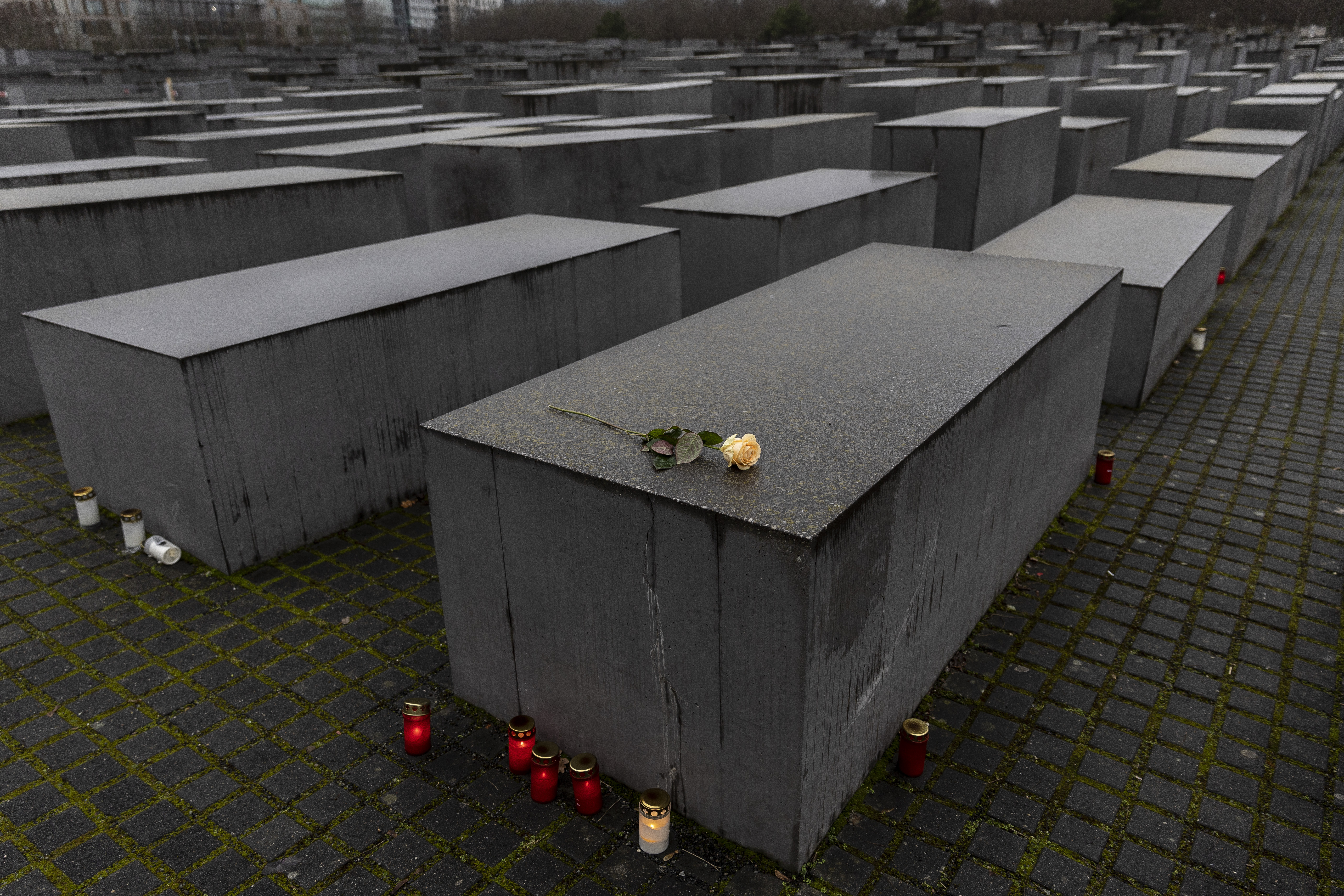 德國舉行納粹大屠殺受害者悼念儀式（多圖）
