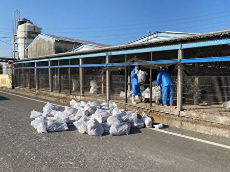 云林县褒忠乡1蛋鸡场，30日爆发确诊H5N1亚型高病原性禽流感，共扑杀销毁3,415只之蛋鸡。