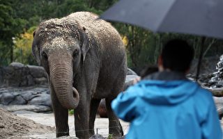 奥克兰动物园周五重新开放