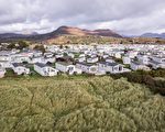 大規模槍案後 半月灣農場將為工人建造永久性住房