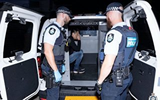 澳洲破獲百億跨國洗錢團伙 多名華人被捕