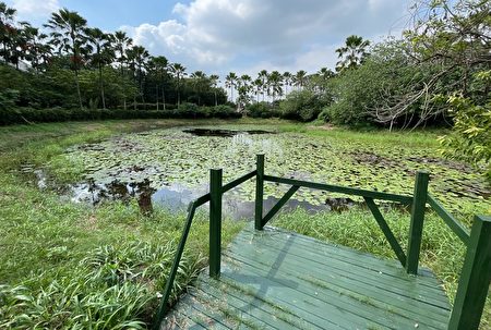 麟洛人工湿地占地面积2.9公顷，濒临绝种保育类黄鹂、珍贵稀有黑翅鸢、应予保育红尾伯劳等都现踪迹，也复育成功台湾独有种水社柳。