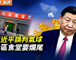 【秦鵬觀察】習誤判氣球事件對美國的影響？