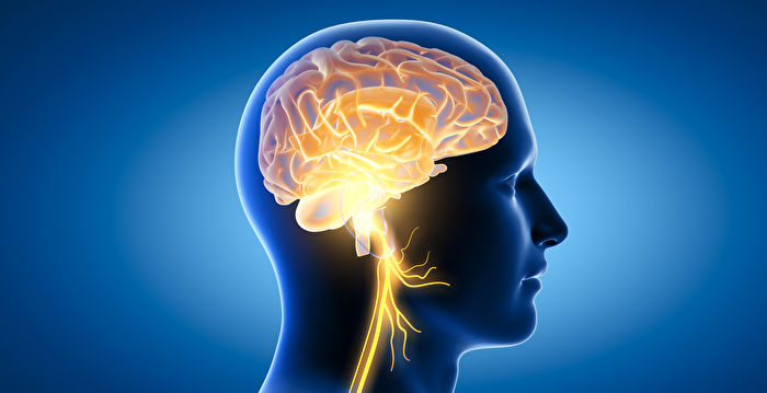 年过半百大脑会有何变化？ 让专家告诉你