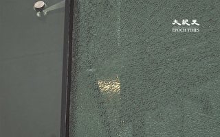 西九龍裁判法院疑遭氣槍射擊 玻璃外牆留有彈孔並出現裂痕