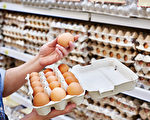 美食品價格下降 雞蛋降幅大 快餐仍漲價