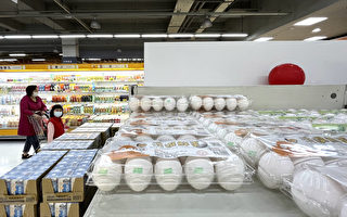 母鸡换羽及饲料价高 鸡蛋每台斤批发价涨至52元