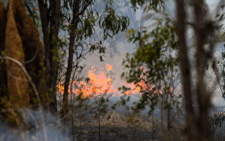 昆州丛林大火肆虐 居民被促撤离