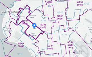 纽约布碌崙华社反对州众议会新版地图：亚裔多数被削弱