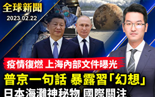 【全球新聞】接見王毅 普京親口宣布習近平將訪俄
