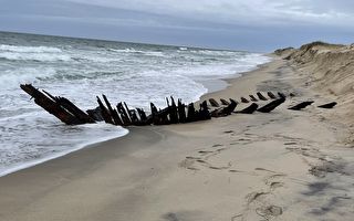 美国东海岸出土19世纪沉船残骸 身份待确认