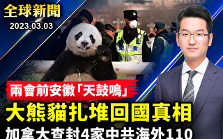 【全球新闻】大熊猫被扎堆送回国 中共是元凶