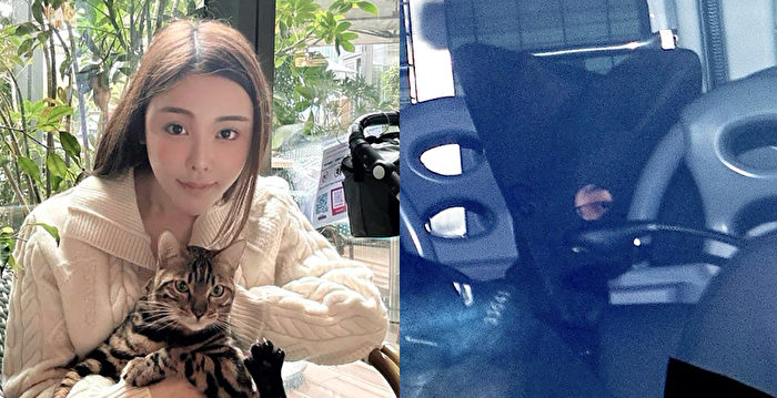 党媒爆蔡天凤钜款随身 评论指或有幕后凶手