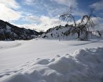 加州3月積雪達本世紀最高水平 或創歷史紀錄