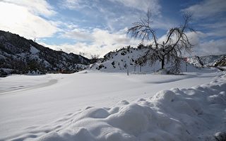 加州3月積雪達本世紀最高水平 或創歷史紀錄