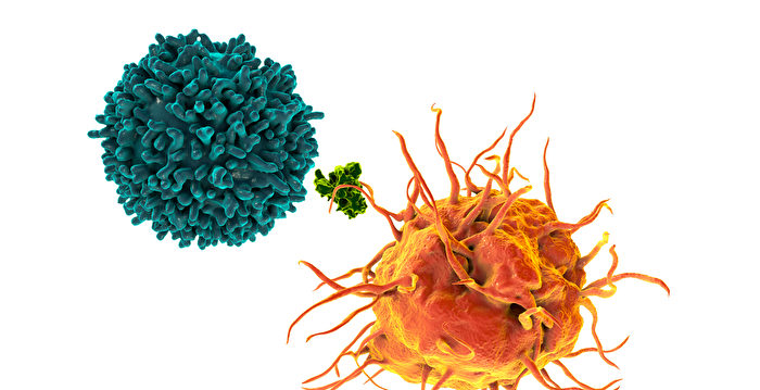 There’s a Best Time to Fight Cancer | Immunotherapy | Circadian Rhythms