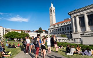 今年加州大學的申請人數 略有下降