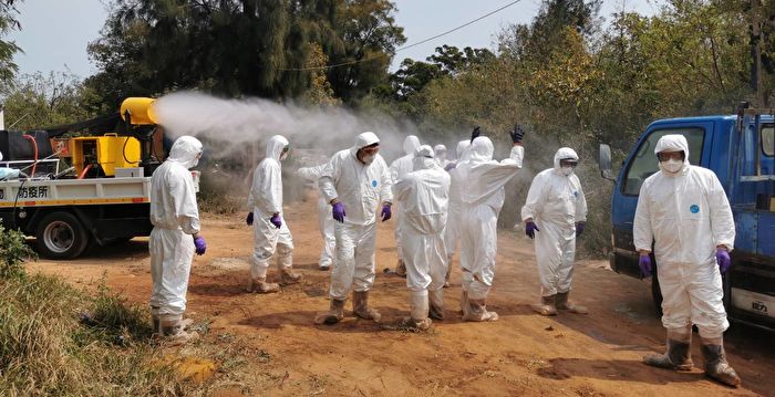 金门现首例H9N2禽流感病毒 预防性扑杀逾4千只鸡