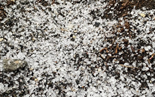 台玉山3月飄雪 成80年來最晚紀錄