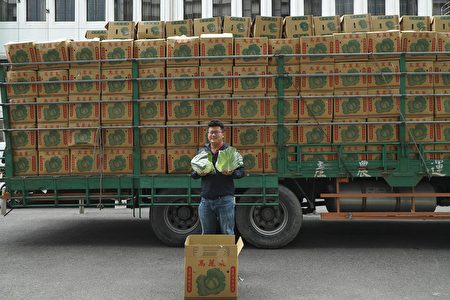 嘉義市公部門團購雲林20公噸高麗菜