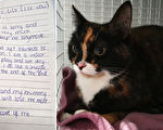 一只被遗弃在收容所的猫和一张充满悲情的纸条