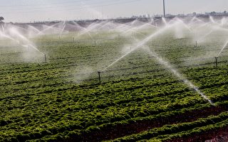 「加州水利項目」供水從35%增至75%