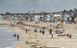橙縣海灘補沙項目資金到位 計劃明年實施