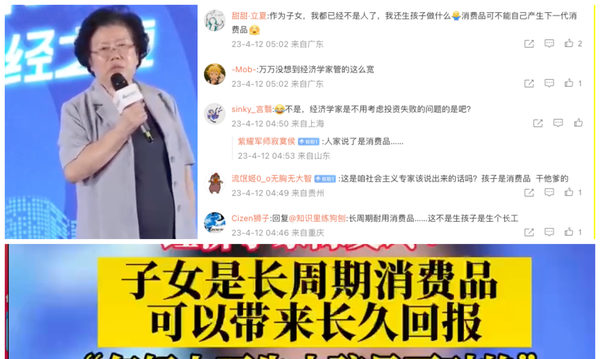 大陆专家称“子女是长周期消费品” 舆论哗然