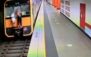 悉尼年輕人扒火車玩 激怒交通部門