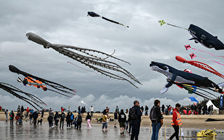 组图：法国国际风筝节 “巨鲸”等造型都上天