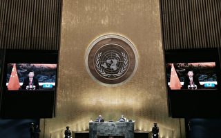 謀求更大權力 聯合國要建全球「應急平台」